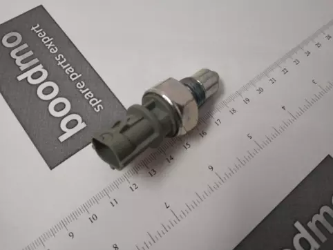 Reverse Light Switch 