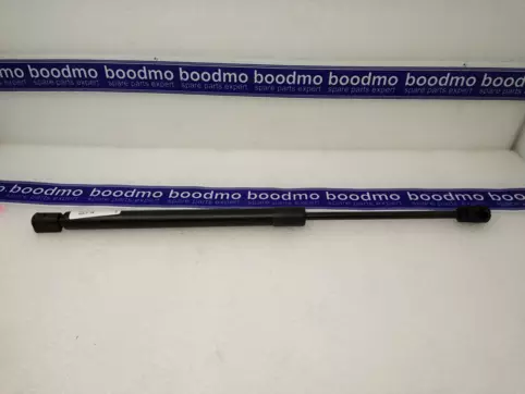 Tailgate Gas Spring Left/Right