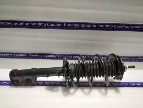 ABSORBER ASSY, L. FR. SHOCK