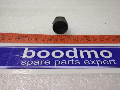 CAP – WHEEL BOLT SILVER GREY