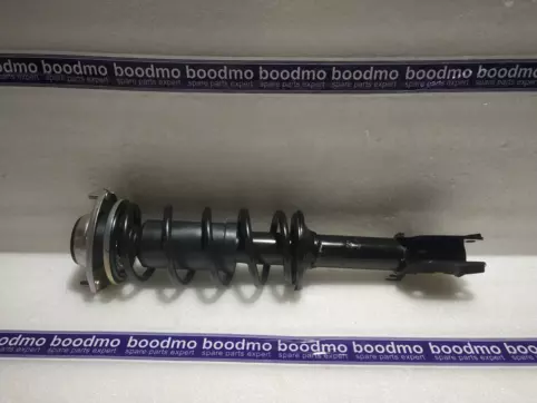 Front Suspension Strut Assembly Left