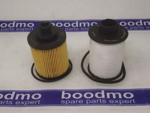 Filter Kit (Oil Filter+Fuel Filter)