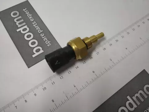 Temperature Sensor 