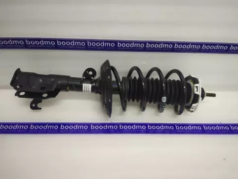 ABSORBER ASSY., L. FR. SHOCK