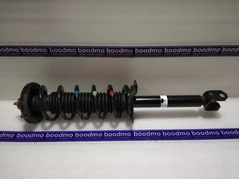 ABSORBER ASSY, L. RR. SHOCK