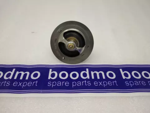 THERMOSTAT ASSY