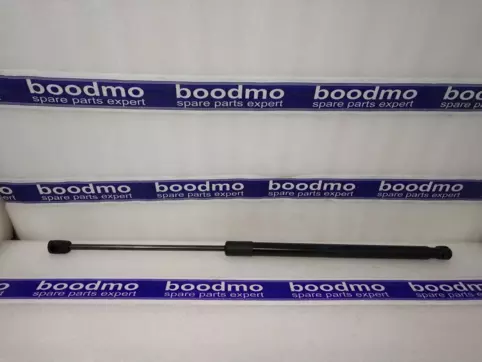 GAS-FILLED STRUT