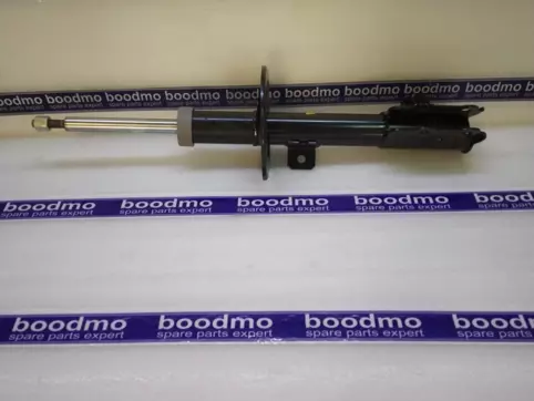 Front Suspension Strut Left