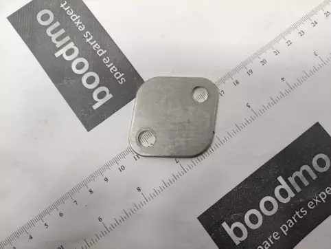PLATEEGR VALVE