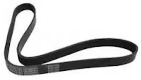 RIBBED BELT-V