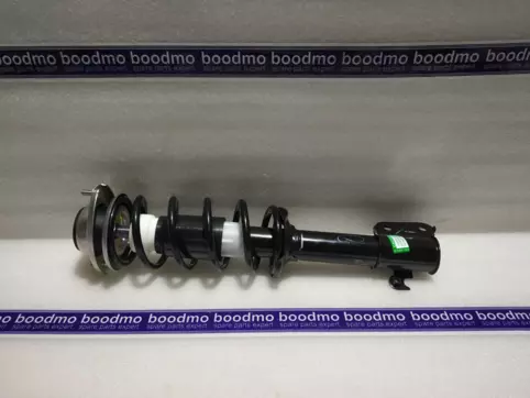 Front Suspension Strut Assembly Left