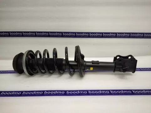 Front Suspension Strut Assembly Right