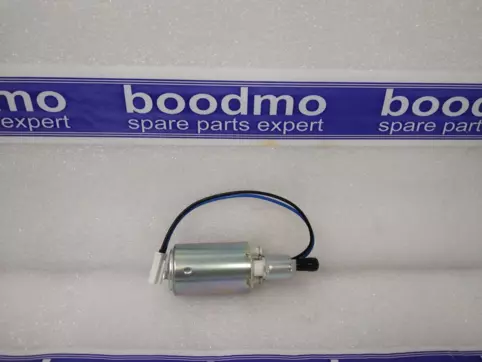 Fuel Pump Motor