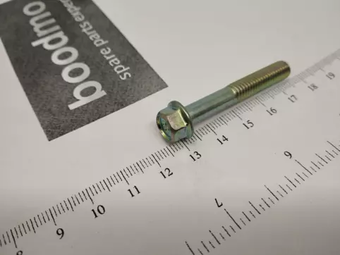 ¥BOLT