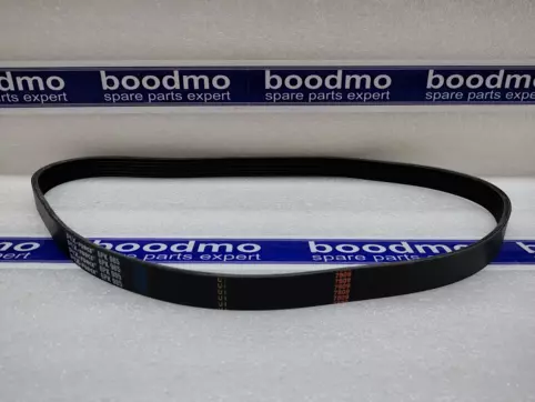 V-Ribbed Belt