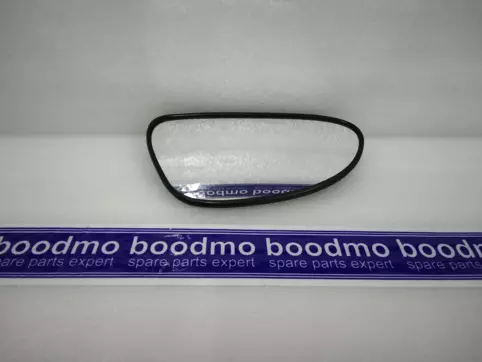 MIRROR AND BACKING PLATE ASSY LH