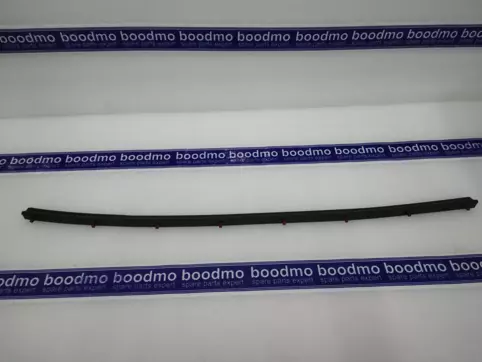 WEATHERSTRIP, FR DOOR DUST