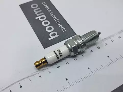 Spark Plug