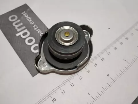 CAP ASSY-RADIATOR