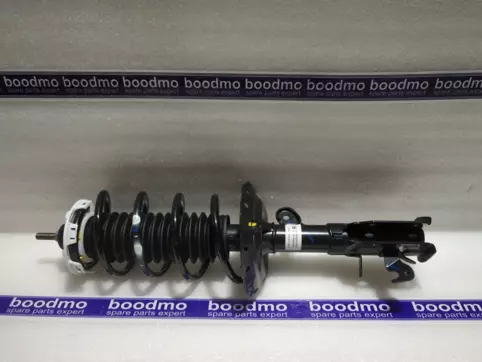 ABSORBER ASSY., R. FR. SHOCK