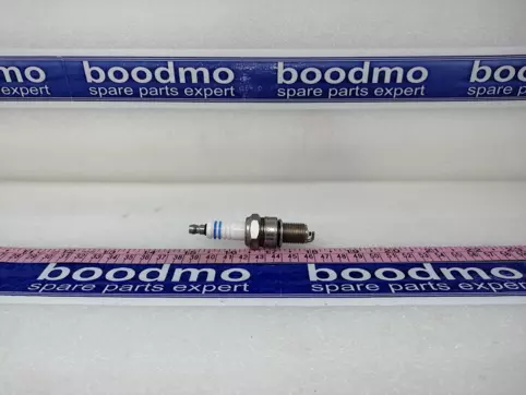 Spark Plug