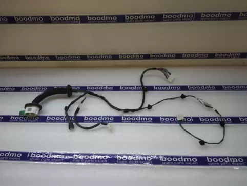 WIRE FRONT DOOR MAIN