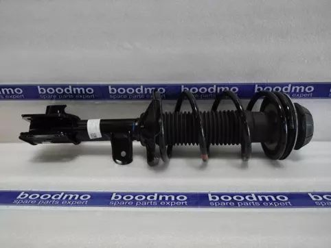 Front Suspension Strut Assembly Left