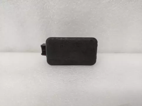 COVER,LUGGAGE LAMP HOLE