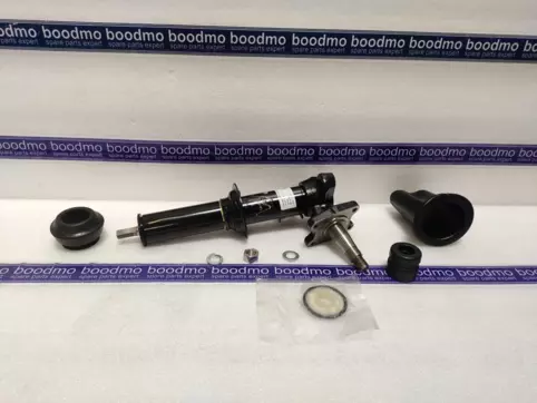 Front Suspension Strut Left
