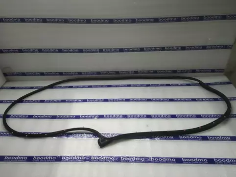 WEATHERSTRIP, FR0NT DOOR OPNG, LH