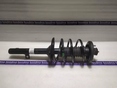 ABSORBER ASSY, R. RR. SHOCK