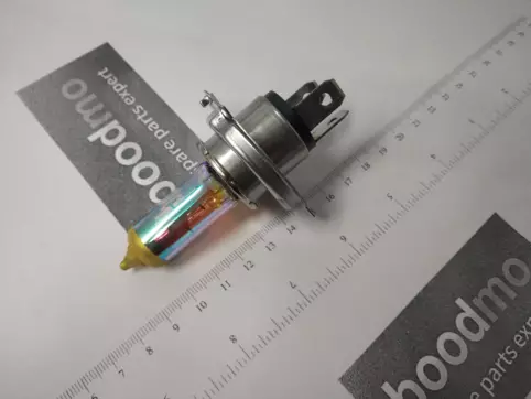 H4 Gold Halogen Bulb 12V 100/90W (Single Bulb)