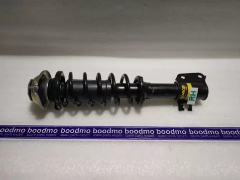Front Suspension Strut Assembly Right