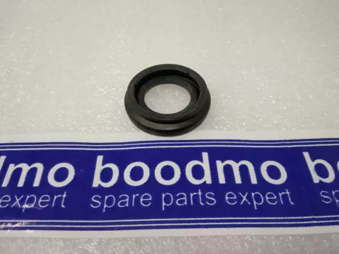 BOOT-PISTON
