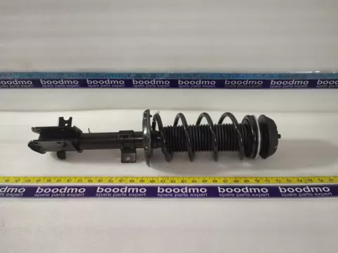 Front Suspension Strut Assembly Left