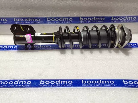 Front Suspension Strut Assembly Left
