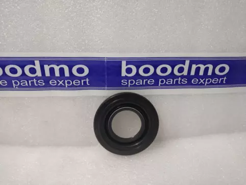 Oil Seal, Differential Side