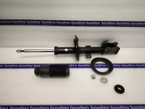 Front Suspension Strut Left