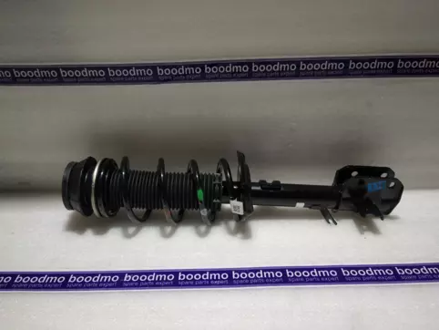 Front Suspension Strut Assembly Left