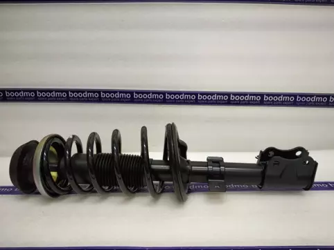 Front Suspension Strut Assembly Left