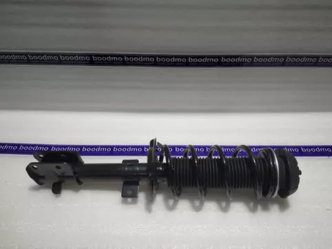 Front Suspension Strut Assembly Left
