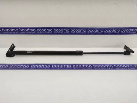 Tailgate Gas Spring Left
