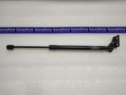 Tailgate Gas Spring Left