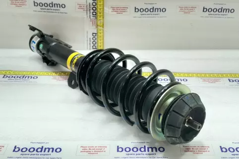 Front Suspension Strut Left