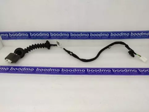 WIRING ASSY-RR DR