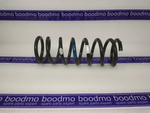 Front Coil Spring
