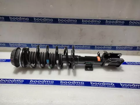 Front Suspension Strut Assembly Right