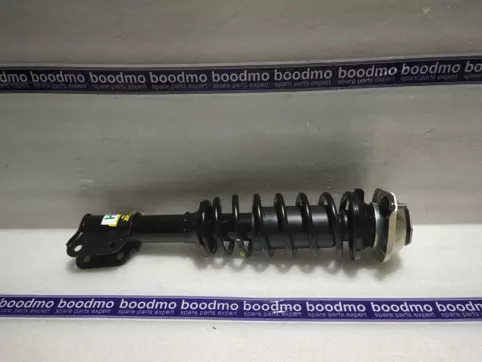 Front Suspension Strut Assembly Right