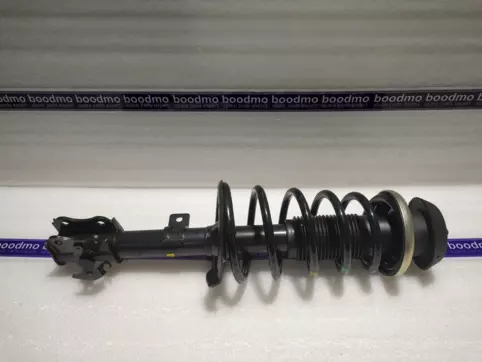 Front Suspension Strut Assembly Left