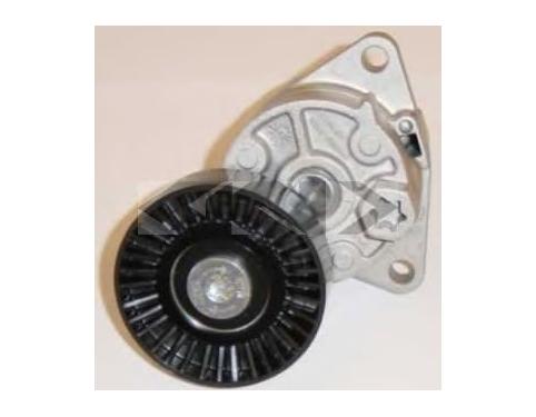 TENSIONER ASSY-RIBBED BELT